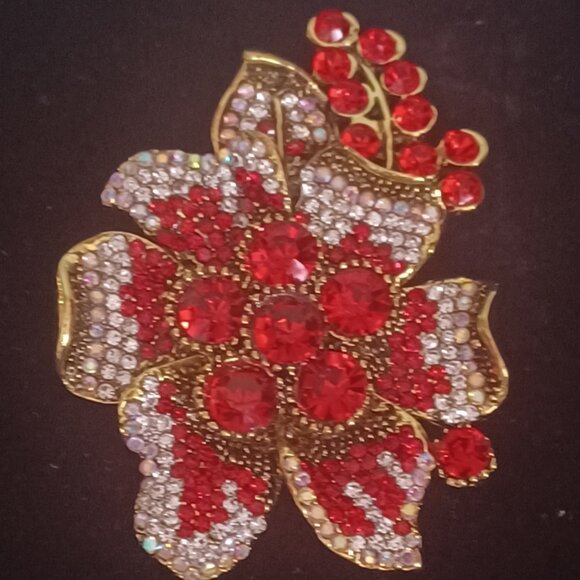 Dazzling Red 3" Brooch/Pendant - Picture 1 of 4